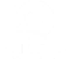 Makarios Excellence Hub